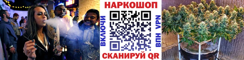  COCAIN Бежецк