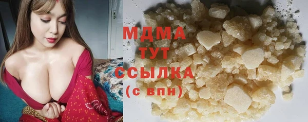 индика Инсар