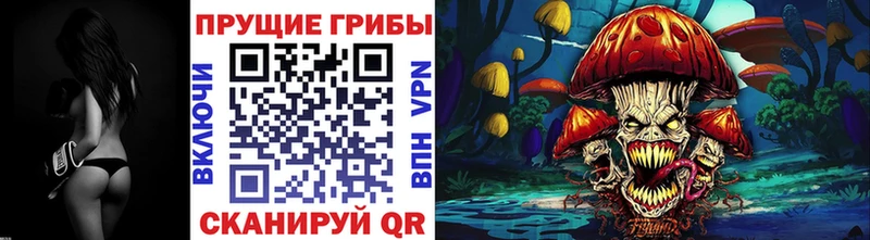 мега вход  Бежецк  Псилоцибиновые грибы прущие грибы  купить закладку 